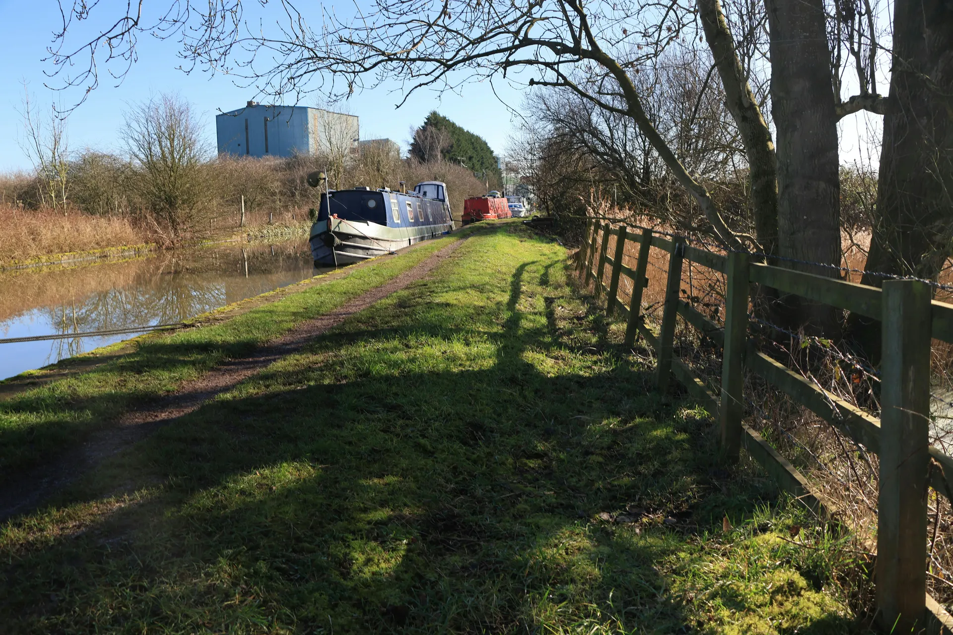 Irish canal towpath with cyclists and willow trees